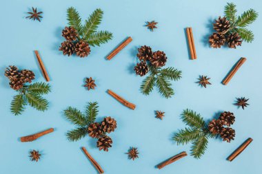 Noel veya kış kompozisyonu. Çerçeve köknar ağacı dalları, çam ve tarçın pastel mavi arka plan üzerinde yapılmıştır. Noel, kış, yeni yıl konsepti. Düz döşeme, üst görünüm, kopyalama alanı