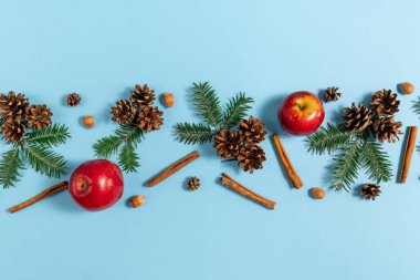 Noel veya kış kompozisyonu. Çerçeve köknar ağacı dalları, çam, meşe palamudu, kırmızı elma ve tarçın pastel mavi arka plan üzerinde yapılmış. Noel, kış, yeni yıl konsepti. Düz döşeme, üst görünüm, kopyalama alanı