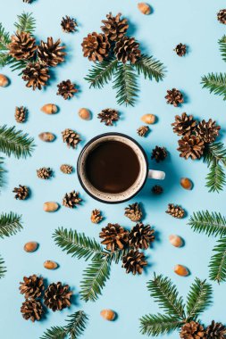 Noel veya kış kompozisyonu. Çerçeve köknar ağacı dalları, fincan kahve, çam, palamut pastel mavi arka plan üzerinde yapılmış. Noel, kış, yeni yıl konsepti. Düz döşeme, üst görünüm, kopyalama alanı