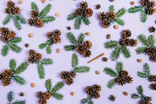 Noel kompozisyonu. Ağaç dalları, çam, meşe palamudu ve tarçın pastel menekşe arka plan üzerinde. Noel, kış, yeni yıl konsepti. Düz döşeme, üst görünüm, kopyalama alanı — Stok fotoğraf