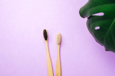 Diş hijyeni. Düz kompozisyon, iki ahşap bambu çevre dostu diş fırçası, yeşil yapraklı canavar, mor arkaplanda yazı için boşluk. Üst görünüm, alanı kopyala