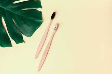 Diş bakımı ve sıfır atık konsepti. Düz kompozisyonda iki doğal bambu diş fırçası ve pastel bej arka planda canavar yaprakları vardı. Üst görünüm, alanı kopyala