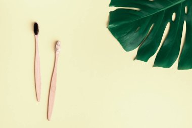 Diş hijyeni. Düz kompozisyon, iki ahşap bambu çevre dostu diş fırçası, yeşil yapraklı canavar ve pastel bej arkaplandaki yazı için alan. Üst görünüm, alanı kopyala
