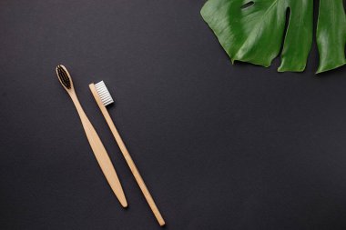 Sıfır atık ve plastik konsept olmadan. İki ahşap bambu çevre dostu diş fırçası ve siyah arka planda yeşil yapraklı canavar. Düz konum, üst görünüm, kopyalama alanı.