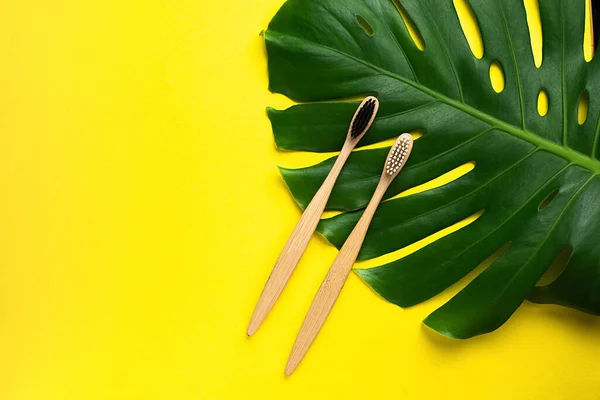 Dos Cepillos Dientes Ecológicos Bambú Madera Hojas Verdes Monstera Sobre — Foto de Stock