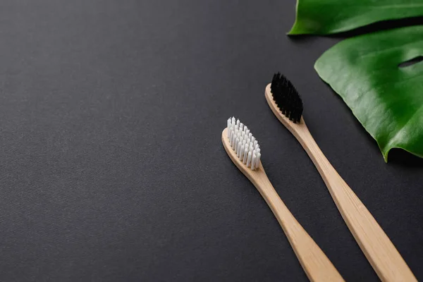 Zero waste. Close up of two wooden bamboo eco friendly toothbrushes and green leaves Monstera on black background. Dental care and Eco friendly and reuse concept. Flat lay, top view, copy space