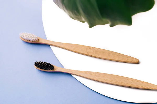 Zero Waste Plastic Concept Two Wooden Bamboo Eco Friendly Toothbrushes — Stock Photo, Image