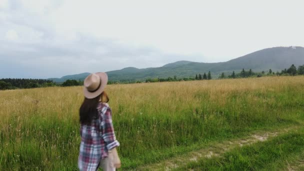 Vista Laterale Della Giovane Donna Incinta Cammina Attraverso Prato Getta — Video Stock