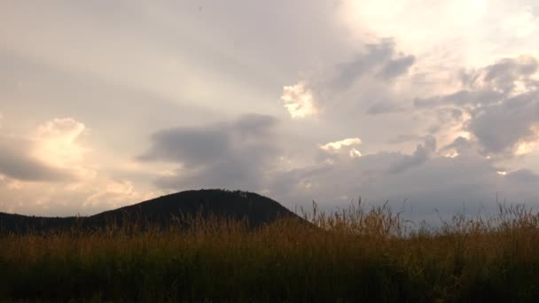 Vue sur un incroyable paysage paisible et épique de prairies, de forêts, de montagnes pendant le magnifique coucher de soleil d'été avec des nuages variables. Calme de la campagne le soir chaud. Concept d'environnement.