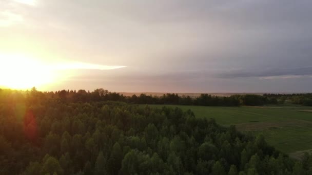 Drone Aéreo Voa Sobre Floresta Verde Pôr Sol Vista Maravilhosa — Vídeo de Stock