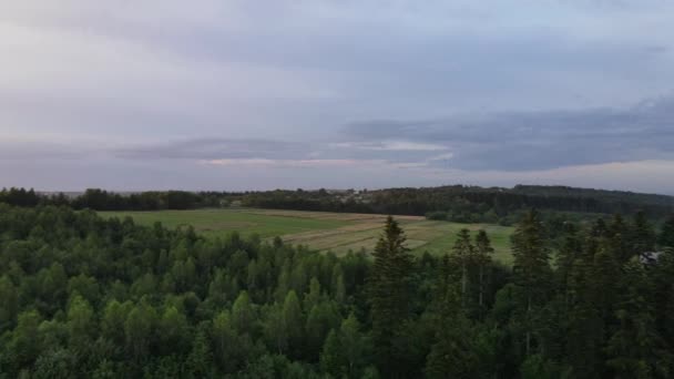 Drohnenaufnahmen Von Schönen Feldern Bergen Sattgrünem Wald Und Bewölktem Sommerhimmel — Stockvideo