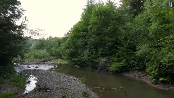 Drone Widok Słodkiej Matki Córeczki Stoją Przy Małym Wodospadzie Rzeki — Wideo stockowe