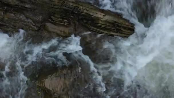 強力な渓流や川で撮影されたトップビュードローンは 夏に丘を下って実行されます 野生の自然要素 国立公園 自然保護区又は保護区の渓流の水 — ストック動画