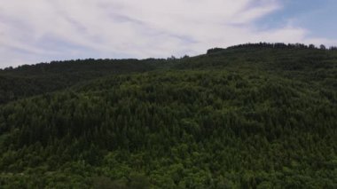 Yazın kalın yeşil bir ormanın üzerinde yavaşça uçan hava çekimi. Saf ve temiz huzurlu bir manzara. Keşif ve seyahat hedefi