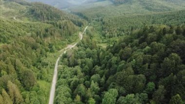 Dağlardaki ya da doğa rezervlerindeki güzel yeşil orman arazisindeki boş yol kıvrımlı ve dolambaçlı hava aracı görüntüleri. Saf ve temiz huzurlu bir manzara. Keşif ve seyahat hedefi