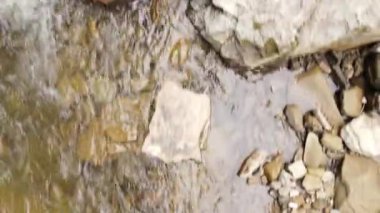 Güzel ve güçlü dağ suyu akıntısı ya da nehir tepeden aşağı akıyor. Ulusal parktaki doğal su, doğal alanı ya da rezervi korudu. Keşif ve seyahat hedefi