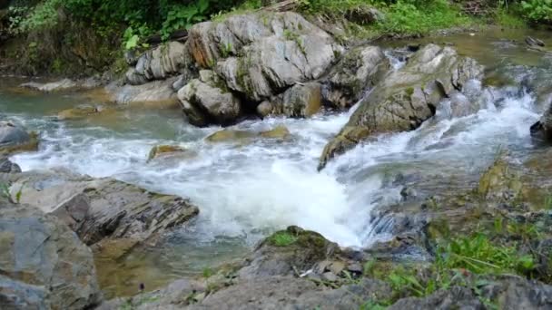 Bergrivierwater Met Steenstroomversnellingen Spatten Achtergrond Van Zoet Water Met Snelle — Stockvideo