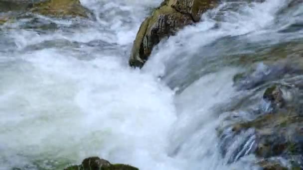 Close Van Krachtige Bergstroom Rivier Loopt Bergafwaarts Late Zomer Water — Stockvideo