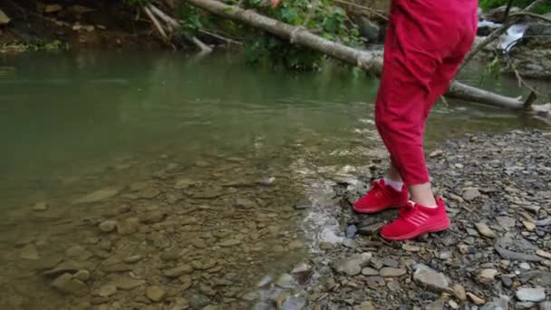 Joyful Playful Little Girl Throwing Pebbles Mountain River Background Green — Stock Video