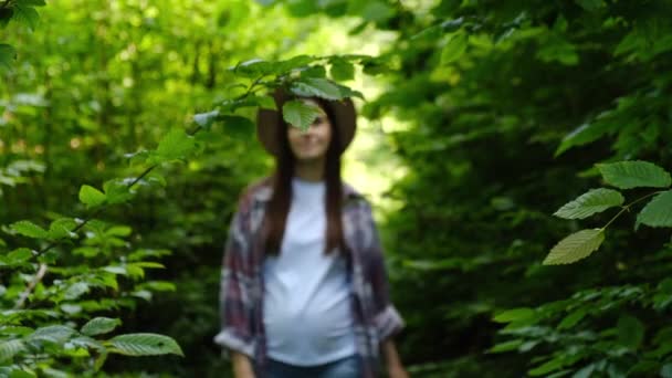 Atractiva Joven Embarazada Sombrero Caminando Verde Bosque Mixto Disfrutar Respiración — Vídeos de Stock