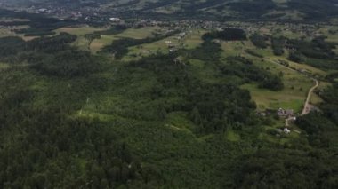 Spruce Kozalaklı ağaç tepelerinde uçan, doğa geçmişi, koruma altındaki ulusal park ya da rezervin inanılmaz destansı drone görüntüleri. Gezgin şehvet hedefi