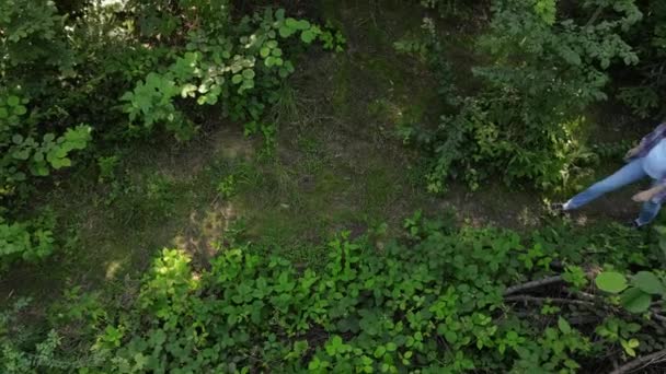 Foto Aérea Linda Mujer Embarazada Sombrero Caminar Bosque Verde Disfrutar — Vídeo de stock