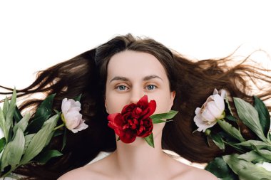 Ağzı kırmızı şakayıklı, çekici, esmer bir kadının portresi. Çiçek yapraklarından yapılmış doğal kozmetik ürünleri, kız yüzünün temiz ve narin ciltleri. Güzel saçlar ve dudaklar