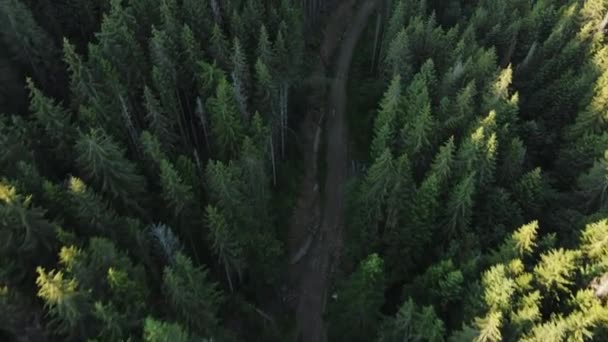 Park Narodowy Zwiedzanie Cel Podróży Dla Turystyki Widok Lotu Ptaka — Wideo stockowe