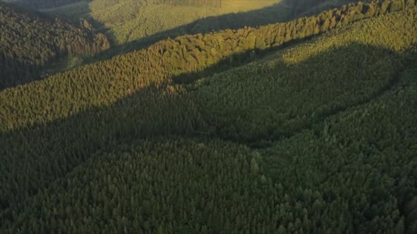 Повітряний Безпілотник Знімав Неймовірний Мирний Епічний Пейзаж Зеленого Лісу Під — стокове відео