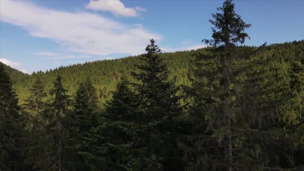 Αεροφωτογραφία Drone Των Όμορφων Πράσινων Βουνών Κατά Του Μπλε Ουρανού — Αρχείο Βίντεο