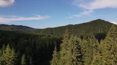 Destansı ve ilham verici manzaranın hava görüntüleri güzel, yemyeşil orman, yaz günü bulutlu gökyüzü. Seyahat tutkusu maceralar ve çevre kavramı