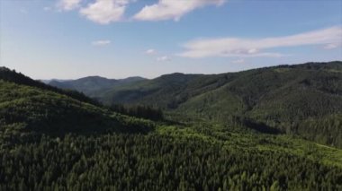 Dağların, ormandaki yeşil ağaçların ve bulutlu gökyüzünün havadan görünüşü. İnsansız hava aracından güzel bir yaz manzarası. Açık hava kamp yaşam tarzı, seyahat