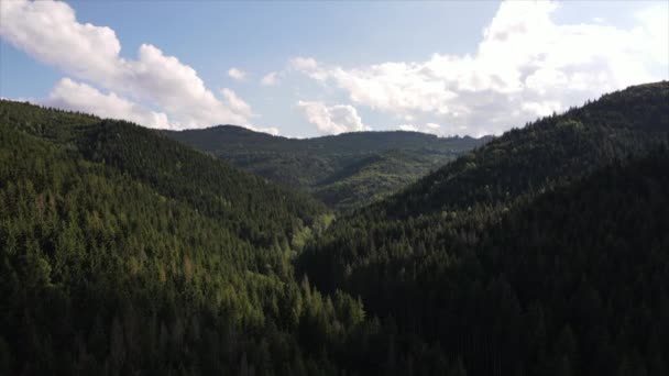 Гірський Масив Задньому Плані Вид Повітряний Дрон Спокійного Красивого Зеленого — стокове відео