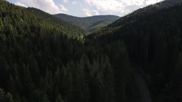 Повітряний Вид Зеленого Лісу Карпатських Горах Дрони Літають Хвойних Деревах — стокове відео