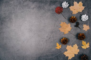 Sonbahar kompozisyonu. Kurumuş yapraklar, reklam için koyu beton arka planda küçük bir kozalak. Sonbahar, sonbahar, Şükran Günü konsepti. Düz yatış, üst görünüm