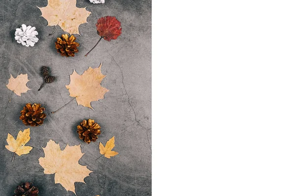 Herbst Erntedankfest Und Winterkonzept Horizontale Bilder Von Getrockneten Blättern Kleinen — Stockfoto