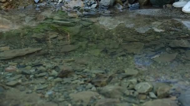 Närbild Vackra Oigenkännliga Kvinnlig Skonsam Hand Beröra Vattenytan Skogs Älv — Stockvideo