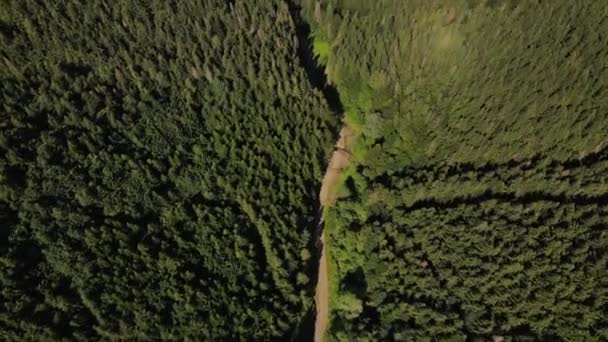 Drohnenaufnahmen Von Wunderschönem Grünen Mischwald Sonnigen Tagen Bergkette Hintergrund Fernweh — Stockvideo