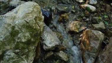 Güçlü dağ suyu akıntısı ya da nehir yazın sonlarında tepeden aşağı akar. Ulusal parktaki doğal su, doğal alanı ya da rezervi korudu. Doğa bileşimi.