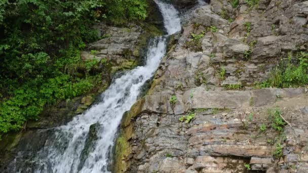 Beau Petit Ruisseau Montagne Cascade Coulant Entre Les Rochers Les — Video