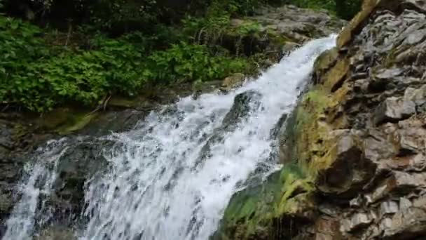 Bela Montanha Poderosa Cachoeira Córrego Desce Colina Água Doce Córrego — Vídeo de Stock