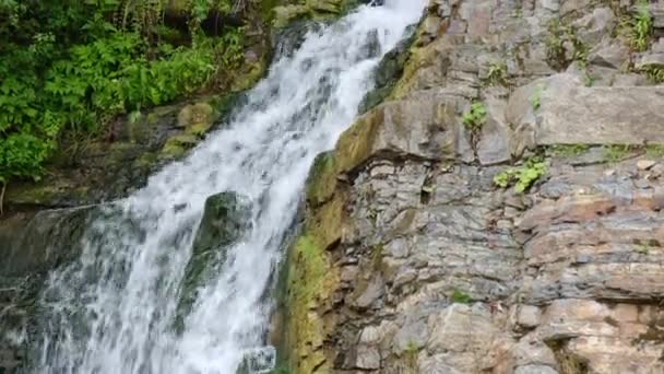 Hegyi Vízesés Kövekkel Zuhatagokkal Háttér Édesvíz Gyors Zuhatagok Vad Folyóban — Stock videók