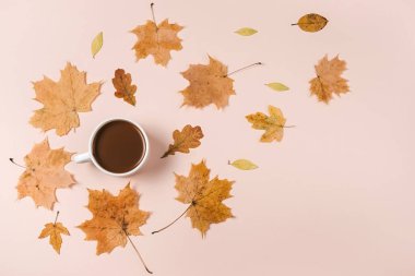 Sonbahar dairesi, kuru yapraklar ve pastel bej arka planda kahve fincanı ile yatıyordu. Reklam için fotokopi alanı da vardı. Şükran Günü, Sonbahar, Cadılar Bayramı konsepti. Yaratıcı bileşim