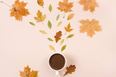 Yaratıcı kompozisyon. Sıcak bir fincan kahve, pastel pembe arka planda çeşitli kurumuş yapraklar reklam için fotokopi alanı. Sonbahar, sonbahar konsepti. Düz yatış, üst görünüm