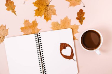Sonbahar düzlüğü, üst tarafta uzanmış kahve fincanı, kurumuş akçaağaç yaprakları ve pembe arka planda bir defter. Feminen blog sosyal medya için sonbahar şablonu. Yaratıcı bileşim