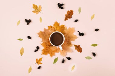 Düz kompozisyon, kuru yapraklar, fincan kahve, pembe arka planda küçük koniler. Yaratıcı sonbahar, şükran günü, sonbahar, cadılar bayramı konsepti. Üst görünüm, alanı kopyala