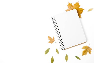 Düz kompozisyon. Reklam için beyaz arka planda defter ve kurumuş yapraklar. Yaratıcı sonbahar, şükran günü, sonbahar, cadılar bayramı konsepti. Üst görünüm, alanı kopyala