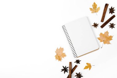 Yaratıcı sonbahar düzlüğü, beyaz arka plan fotokopi alanı üzerinde en az biçimde tarçın, kişniş, kuru akçaağaç yaprakları ve defter üzerinde yatıyordu. Feminen blog sosyal medya için sonbahar şablonu