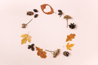 Düz kompozisyon, kuru akçaağaç yaprakları, eğreltiotu, kalp şekli yaprağı ve reklam için pembe arka planda çam kozalakları. Yaratıcı sonbahar, şükran günü, sonbahar, cadılar bayramı konsepti. Üst görünüm, alanı kopyala