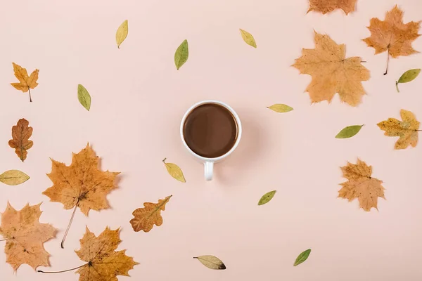 Kompozycja Jesienna Filiżanka Kawy Suszone Różne Liście Pastelowym Różowym Tle — Zdjęcie stockowe